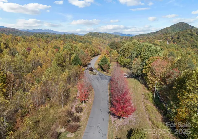 Homes for sale in Black Mountain, NC | 38 Attica Falls Trl, Black Mountain, NC 28711 | MLS# 4316658