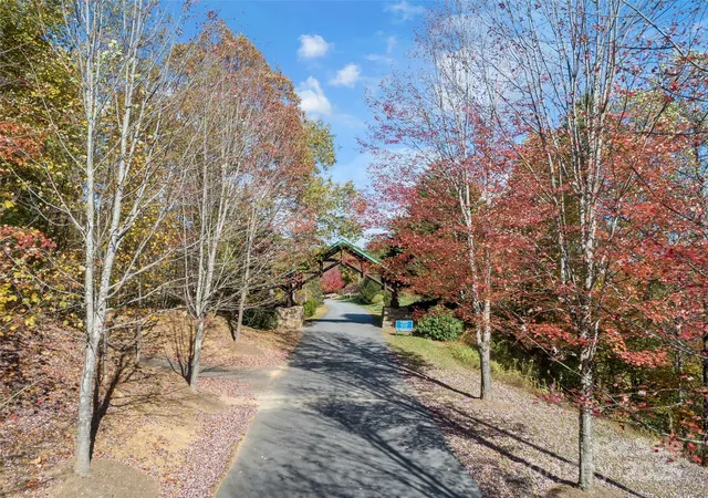 Homes for sale in Black Mountain, NC | 38 Attica Falls Trl, Black Mountain, NC 28711 | MLS# 4316658