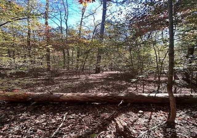 Photo 3 of Land for sale at Tbd Cross Creek Dr #140, Rutherfordton, NC 28139 | MLS# 4316659 | Listing updated on 2026-10-20