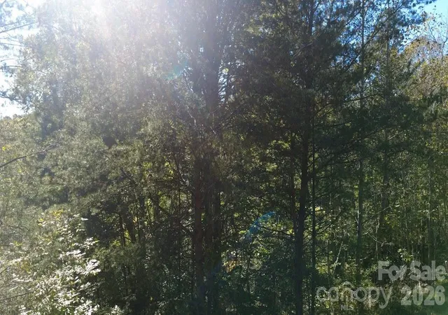 Photo 4 of Land for sale at Tbd Cross Creek Dr #140, Rutherfordton, NC 28139 | MLS# 4316659 | Listing updated on 2026-10-20
