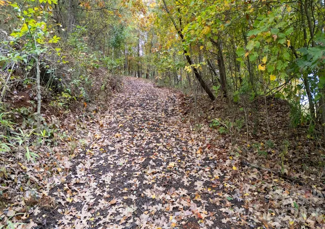Photo 5 of Land for sale at 140 Reitzel Rd, Taylorsville, NC 28681 | MLS# 4316979 | Listing updated on 2026-08-25