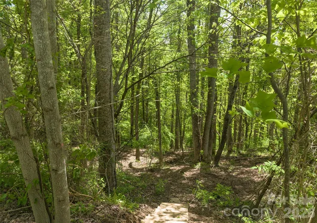 Photo 3 of Land for sale at 26 Fall Mountain Rd #58, Asheville, NC 28803 | MLS# 4317043 | Listing updated on 2026-10-06