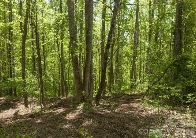 Photo 4 of Land for sale at 26 Fall Mountain Rd #58, Asheville, NC 28803 | MLS# 4317043 | Listing updated on 2026-10-06