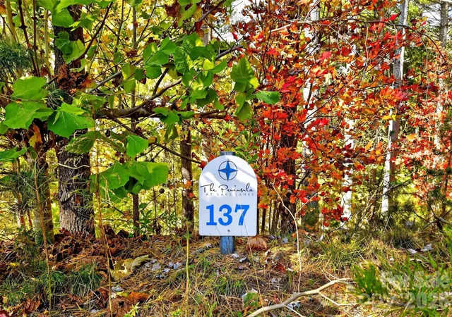 2nd image of 0 West Point Dr, Nebo, NC 28761 | MLS# 4317251
