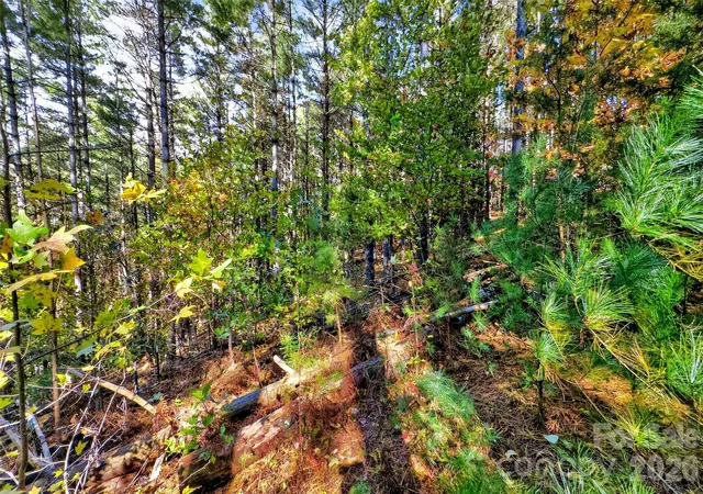 3rd image of 0 West Point Dr, Nebo, NC 28761 | MLS# 4317251