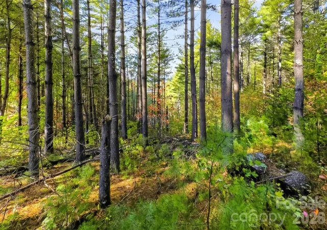 4th image of 0 West Point Dr, Nebo, NC 28761 | MLS# 4317251