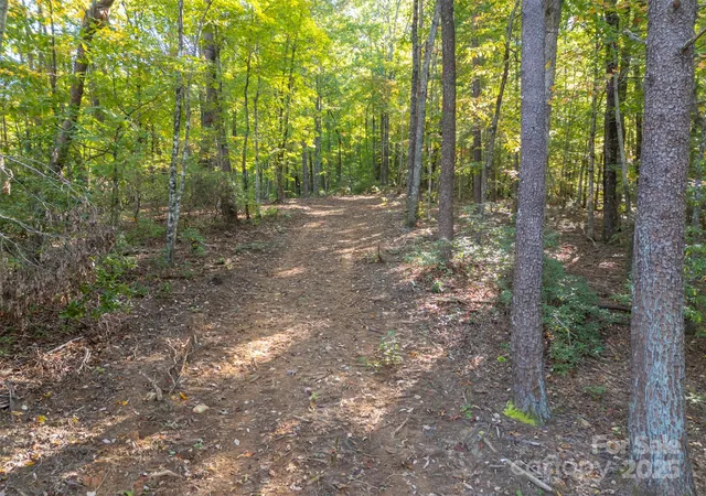 2nd image of 3298 Buffalo Creek Rd, Lake Lure, NC 28746 | MLS# 4317434