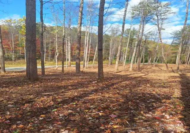 26th image of 3298 Buffalo Creek Rd, Lake Lure, NC 28746 | MLS# 4317434