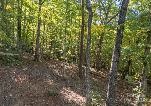 3rd image of 3298 Buffalo Creek Rd, Lake Lure, NC 28746 | MLS# 4317434
