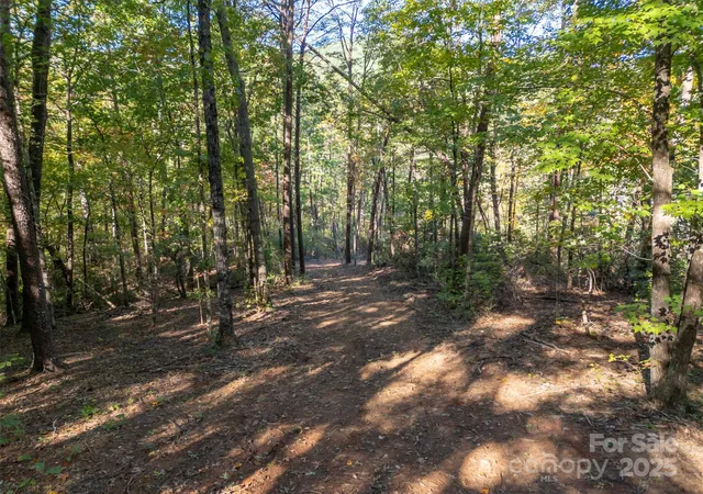 4th image of 3298 Buffalo Creek Rd, Lake Lure, NC 28746 | MLS# 4317434