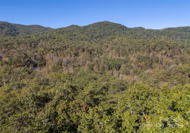 5th image of 3298 Buffalo Creek Rd, Lake Lure, NC 28746 | MLS# 4317434