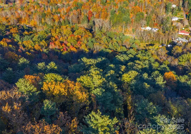 2nd image of 51 Rice Branch Rd, Asheville, NC 28804 | MLS# 4317623
