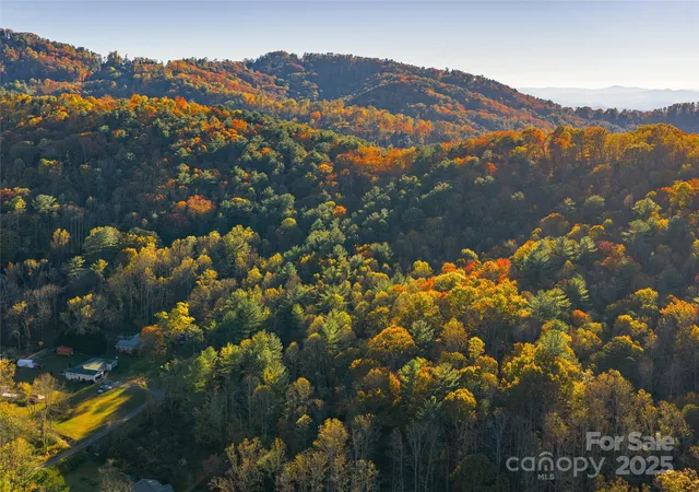 3rd image of 51 Rice Branch Rd, Asheville, NC 28804 | MLS# 4317623