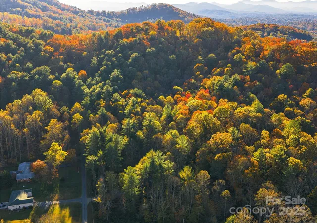4th image of 51 Rice Branch Rd, Asheville, NC 28804 | MLS# 4317623