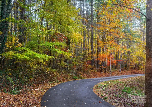 5th image of 51 Rice Branch Rd, Asheville, NC 28804 | MLS# 4317623