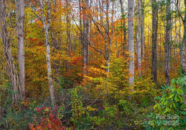 8th image of 51 Rice Branch Rd, Asheville, NC 28804 | MLS# 4317623