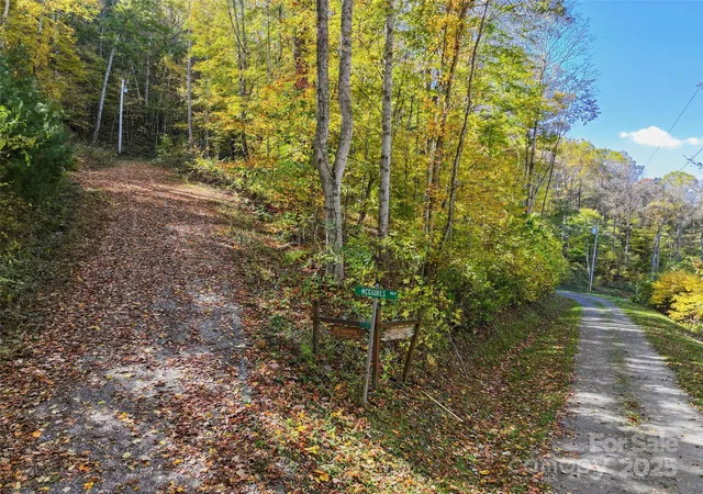 Land for sale at Lot 316 Mcguires Rdg #316, Waynesville, NC 28786 | MLS# 4317767