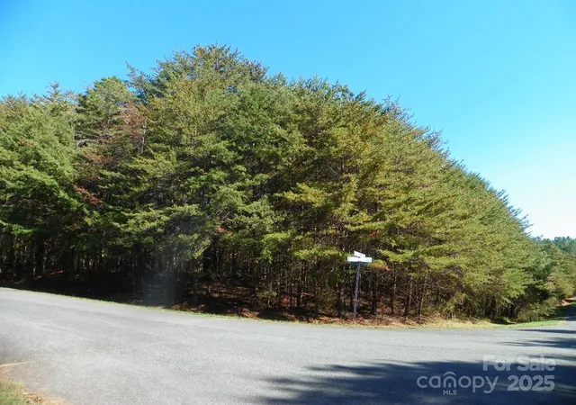 Homes for sale in New London, NC | 108 Chersonese Ct, New London, NC 28127 | MLS# 4318173