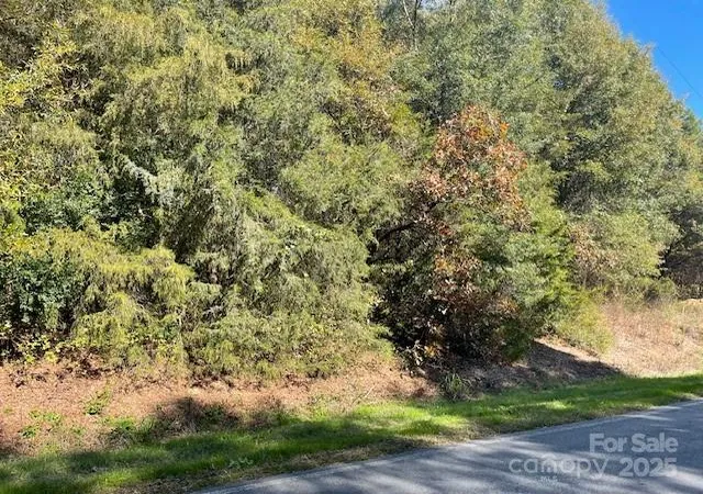 Photo 1 of Land for sale at 0 Deep Springs Rd, Peachland, NC 28133 | MLS# 4318247 | Listing updated on 2026-09-15