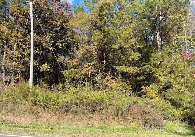 Photo 3 of Land for sale at 0 Deep Springs Rd, Peachland, NC 28133 | MLS# 4318247 | Listing updated on 2026-09-15