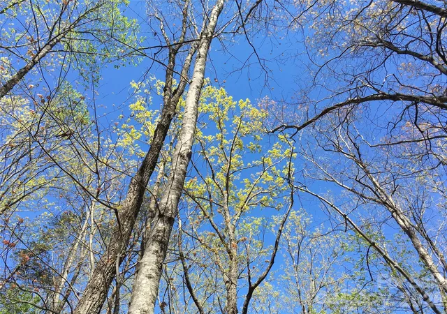 Photo 1 of Land for sale at 00 Lytle Mountain Rd, Marion, NC 28752 | MLS# 4318857 | Listing updated on 2026-04-27