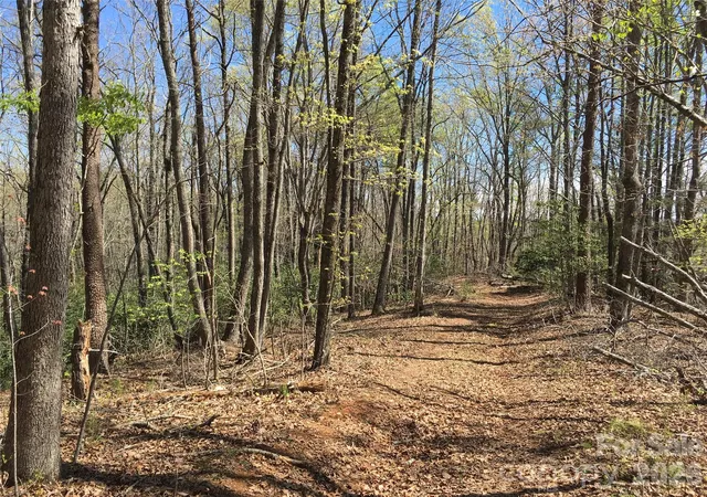 Photo 4 of Land for sale at 00 Lytle Mountain Rd, Marion, NC 28752 | MLS# 4318857 | Listing updated on 2026-04-27