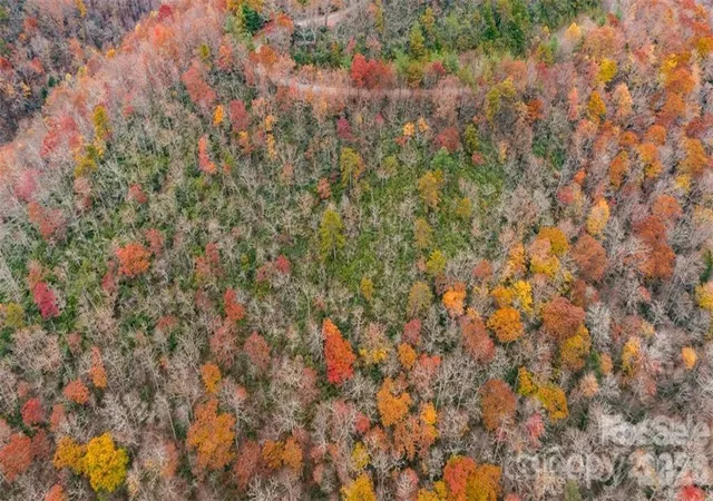 Photo 1 of Land for sale at 82 Davey Crockett Rd, Fairview, NC 28730 | MLS# 4319681 | Listing updated on 2026-10-27