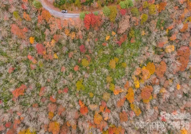 Photo 2 of Land for sale at 82 Davey Crockett Rd, Fairview, NC 28730 | MLS# 4319681 | Listing updated on 2026-10-27