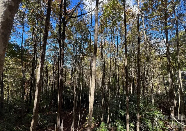 Land for sale at 0 Wild Magnolia Way #46, Zirconia, NC 28790 | MLS# 4319683