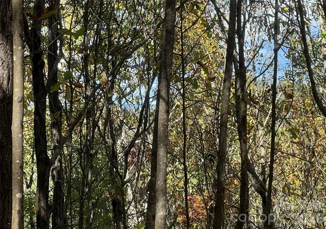 Photo 3 of Land for sale at 0 Wild Magnolia Way #46, Zirconia, NC 28790 | MLS# 4319683 | Listing updated on 2026-10-08