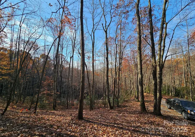 2nd image of 9999 12 Bob Barnwell Rd, Asheville, NC 28803 | MLS# 4320155