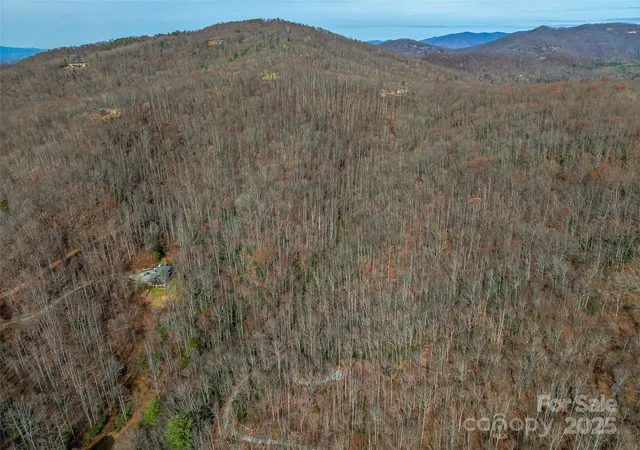 21st image of 9999 12 Bob Barnwell Rd, Asheville, NC 28803 | MLS# 4320155