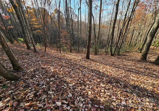 3rd image of 9999-12 Bob Barnwell Rd, Asheville, NC 28803 | MLS# 4320155
