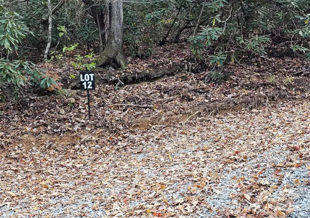 5th image of 9999-12 Bob Barnwell Rd, Asheville, NC 28803 | MLS# 4320155