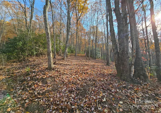 4th image of 9999-12 Bob Barnwell Rd, Asheville, NC 28803 | MLS# 4320155