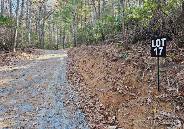 2nd image of 9999 17 Bob Barnwell Rd, Asheville, NC 28803 | MLS# 4320218