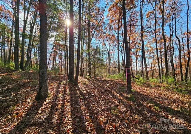 3rd image of 9999-17 Bob Barnwell Rd, Asheville, NC 28803 | MLS# 4320218