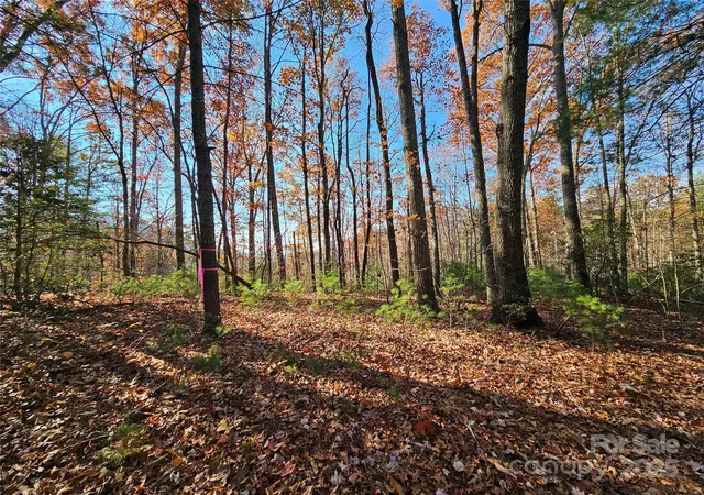 4th image of 9999-17 Bob Barnwell Rd, Asheville, NC 28803 | MLS# 4320218