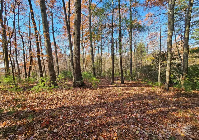 5th image of 9999-17 Bob Barnwell Rd, Asheville, NC 28803 | MLS# 4320218