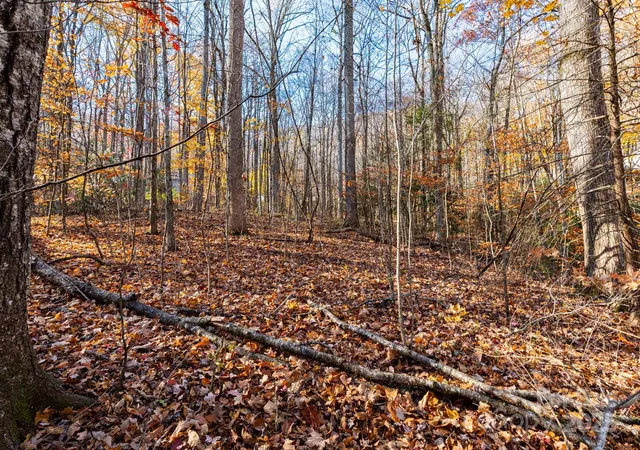 4th image of Lot 62 Twinbrook Ln, Maggie Valley, NC 28751 | MLS# 4320323