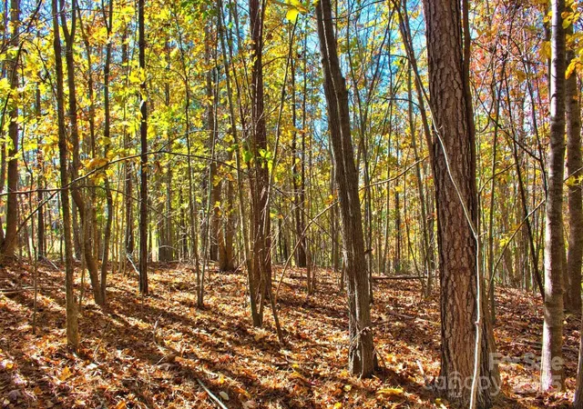 Photo 1 of Land for sale at 0 Creekside Cir #113, Rutherfordton, NC 28139 | MLS# 4320333 | Listing updated on 2025-11-25