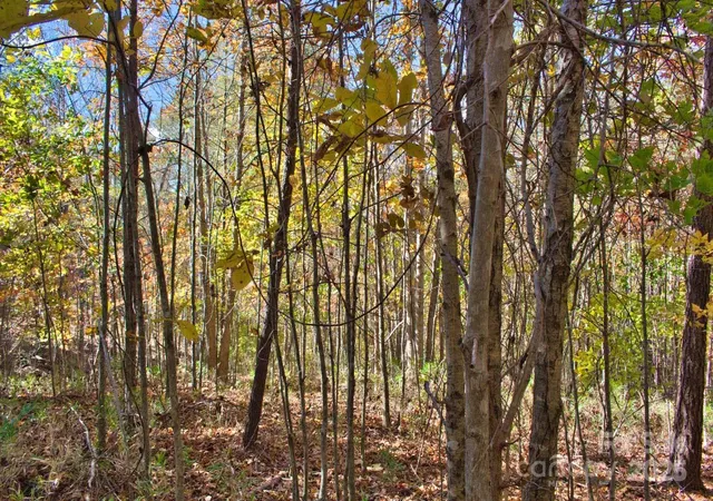 Photo 2 of Land for sale at 0 Creekside Cir #113, Rutherfordton, NC 28139 | MLS# 4320333 | Listing updated on 2025-11-25