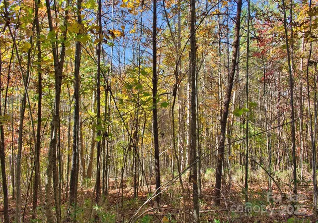 Photo 3 of Land for sale at 0 Creekside Cir #113, Rutherfordton, NC 28139 | MLS# 4320333 | Listing updated on 2025-11-25