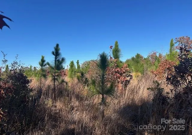 Photo 18 of Land for sale at 3583 Mill Crk Rd, Bethune, SC 29009 | MLS# 4320789 | Listing updated on 2026-03-31