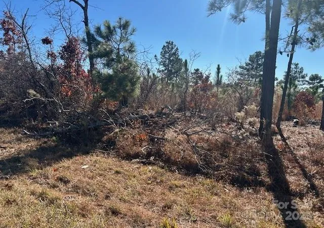 Photo 2 of Land for sale at 3583 Mill Crk Rd, Bethune, SC 29009 | MLS# 4320789 | Listing updated on 2026-03-31
