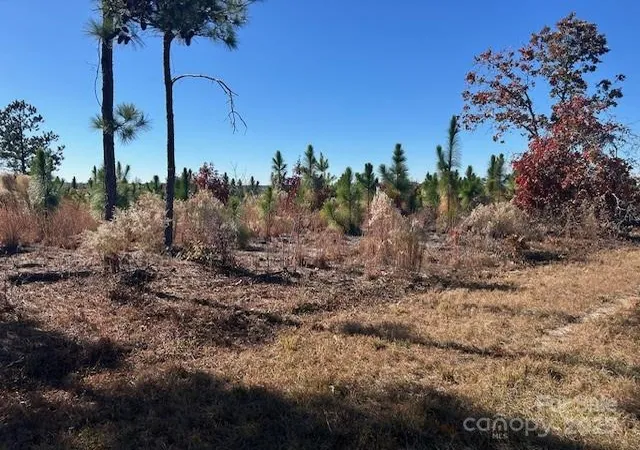Photo 3 of Land for sale at 3583 Mill Crk Rd, Bethune, SC 29009 | MLS# 4320789 | Listing updated on 2026-03-31