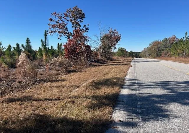 Photo 4 of Land for sale at 3583 Mill Crk Rd, Bethune, SC 29009 | MLS# 4320789 | Listing updated on 2026-03-31
