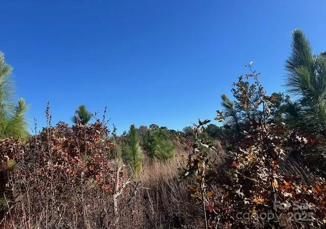 Photo 5 of Land for sale at 3583 Mill Crk Rd, Bethune, SC 29009 | MLS# 4320789 | Listing updated on 2026-03-31