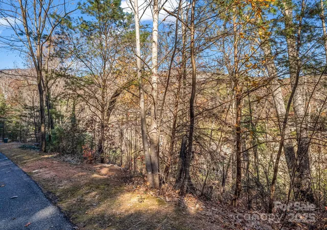 1st image of 167 Firefly Pt, Lake Lure, NC 28746 | MLS# 4321219