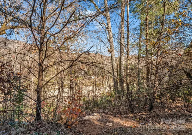 2nd image of 167 Firefly Pt, Lake Lure, NC 28746 | MLS# 4321219